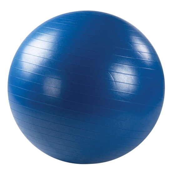 Мяч гимнастический (Фитбол) 75 см. с насосом (синий)