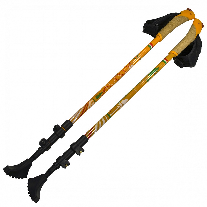 Карбоновые палки (трости) телескопические для скандинавской ходьбы Ergoforce